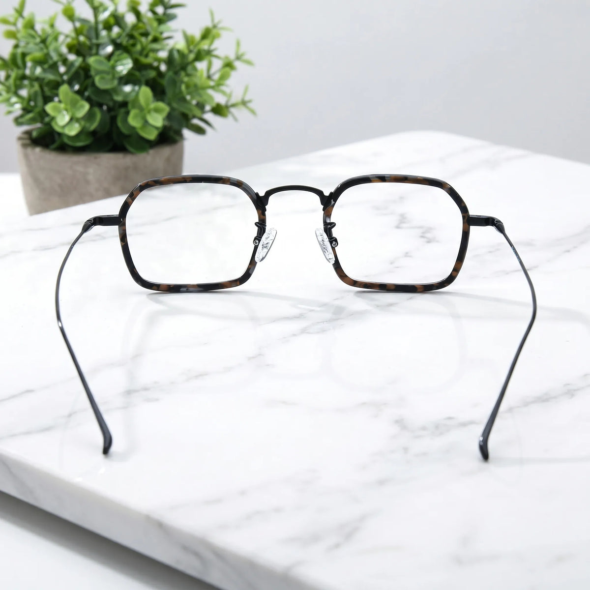 Barledear Midnight Tortoise Black eyeglasses back view showing temple shape and full-rim frame structure